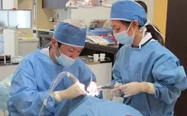 マタニティー診療